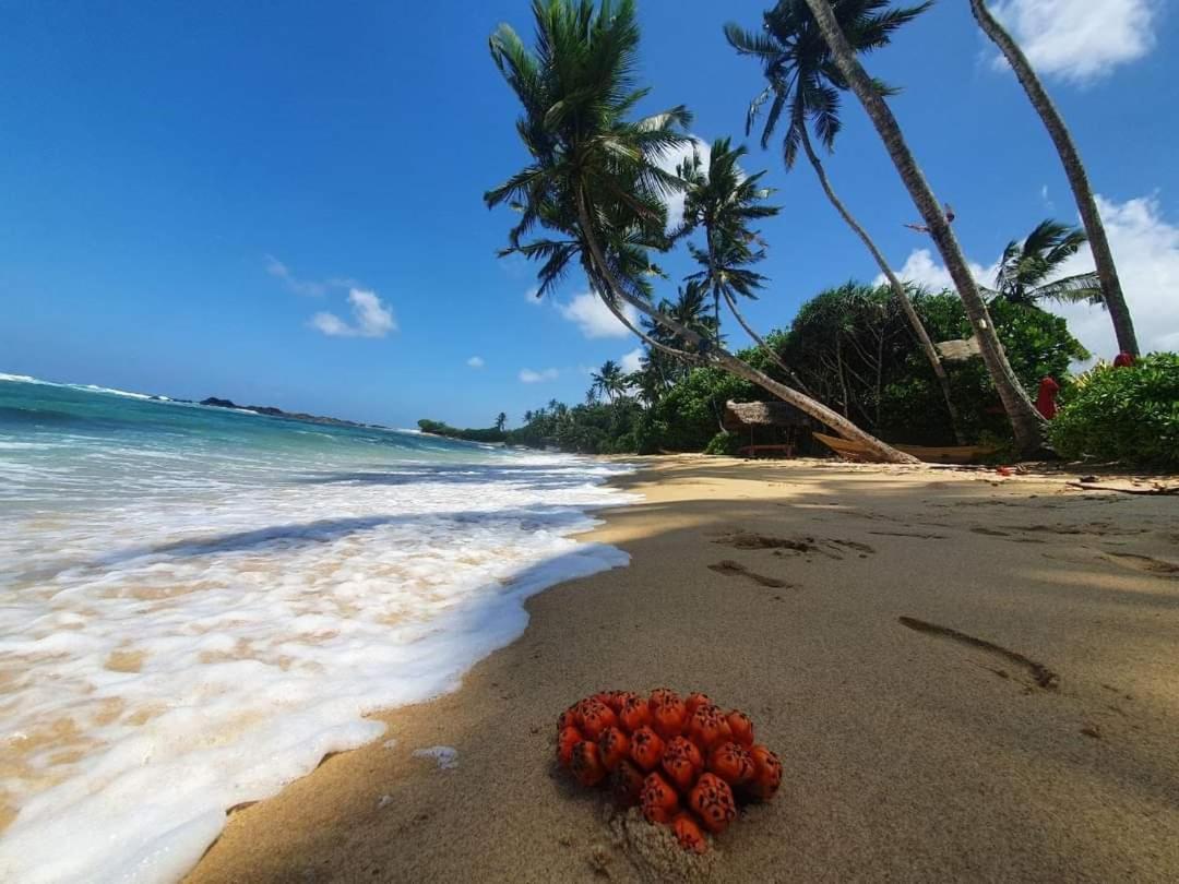 Turtle Beach House Batigama Dış mekan fotoğraf