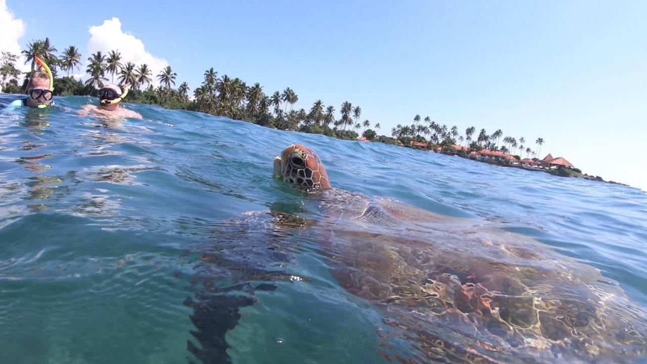Turtle Beach House Batigama Dış mekan fotoğraf